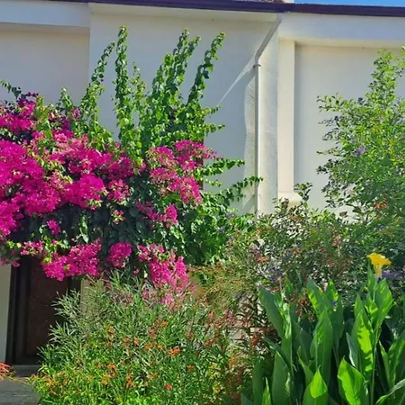 çalış Fethiye