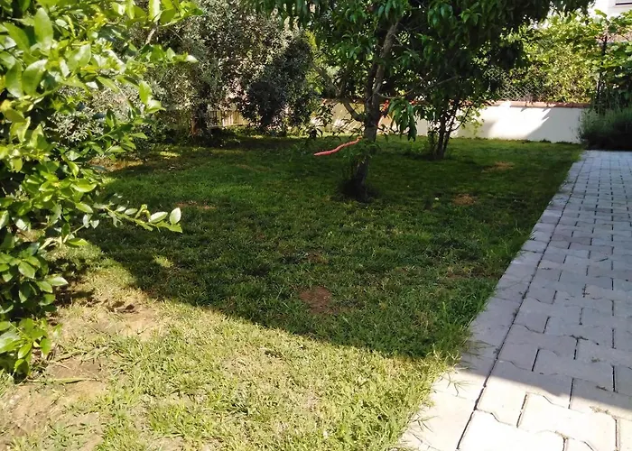 Calis 빌라 페티예