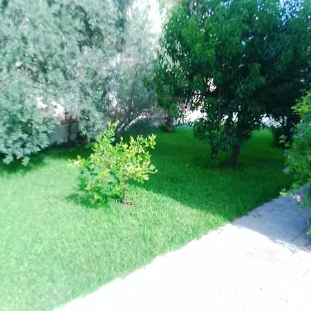 Calis